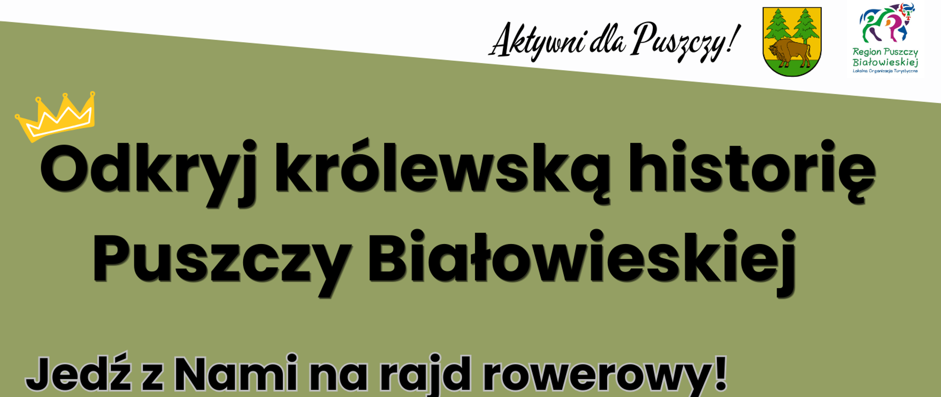 Na plakacie umieszczono informacje o wydarzeniu, zawarte w artykule oraz - logotypy organizatorów oraz stopkę projektową