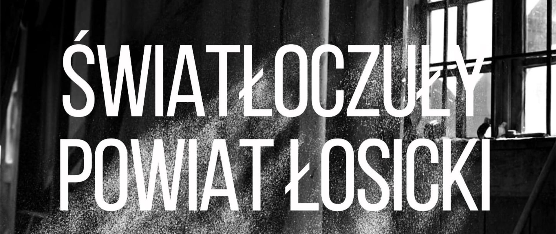 Plakat promujący projekt „Światłoczuły powiat łosicki – plener i wystawa fotograficzna dziedzictwa kulturowego i krajobrazowego