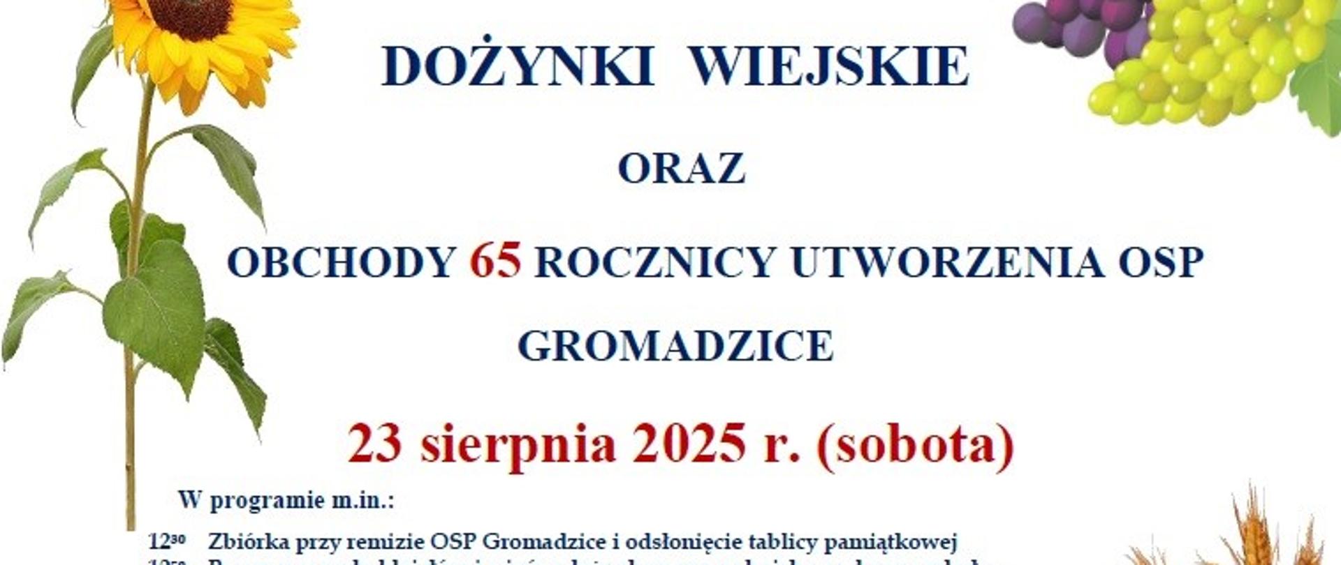 Dożynki wiejskie w Gromadzicach