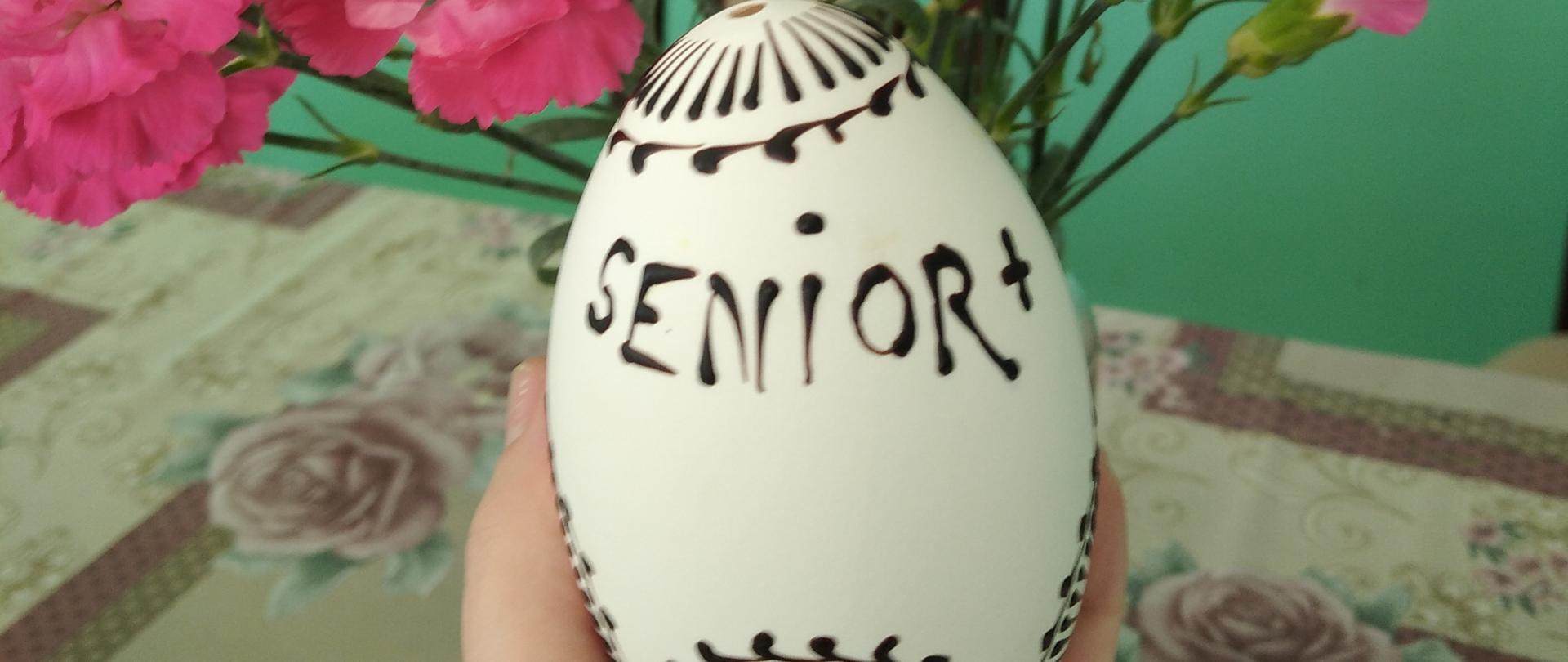 pisanka z napisem Senior+ 