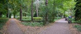Park im. Marii Stypułkowskiej-Chojeckiej ps. "Kama" w Piastowie