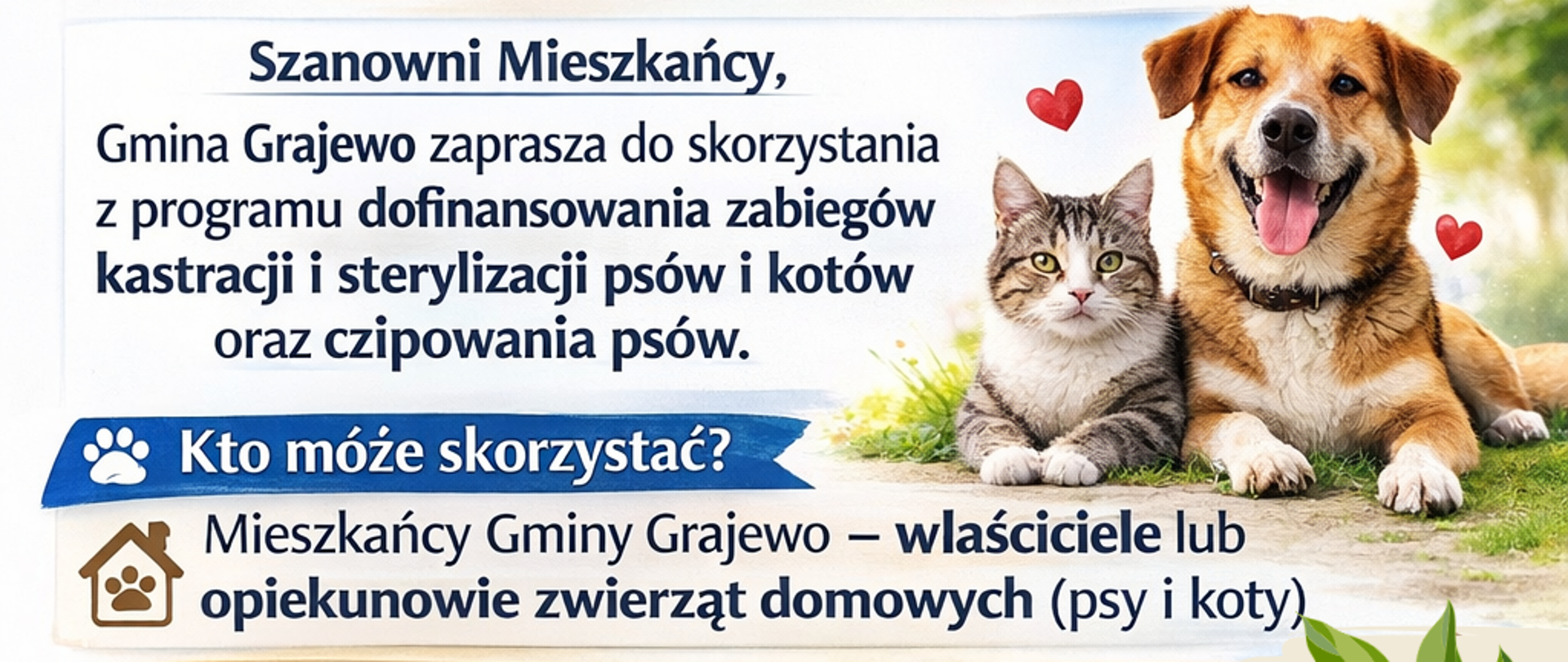 zabiegi dla zwierząt