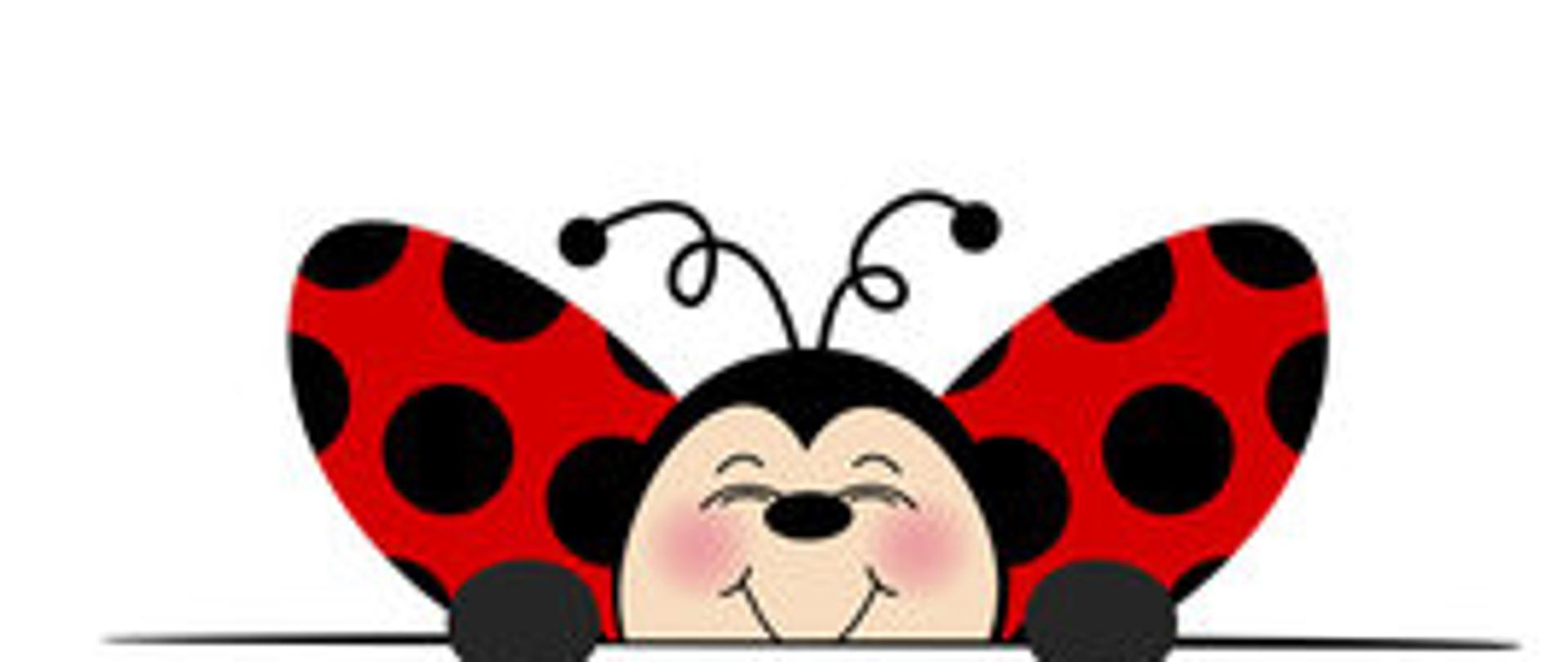 biedronki