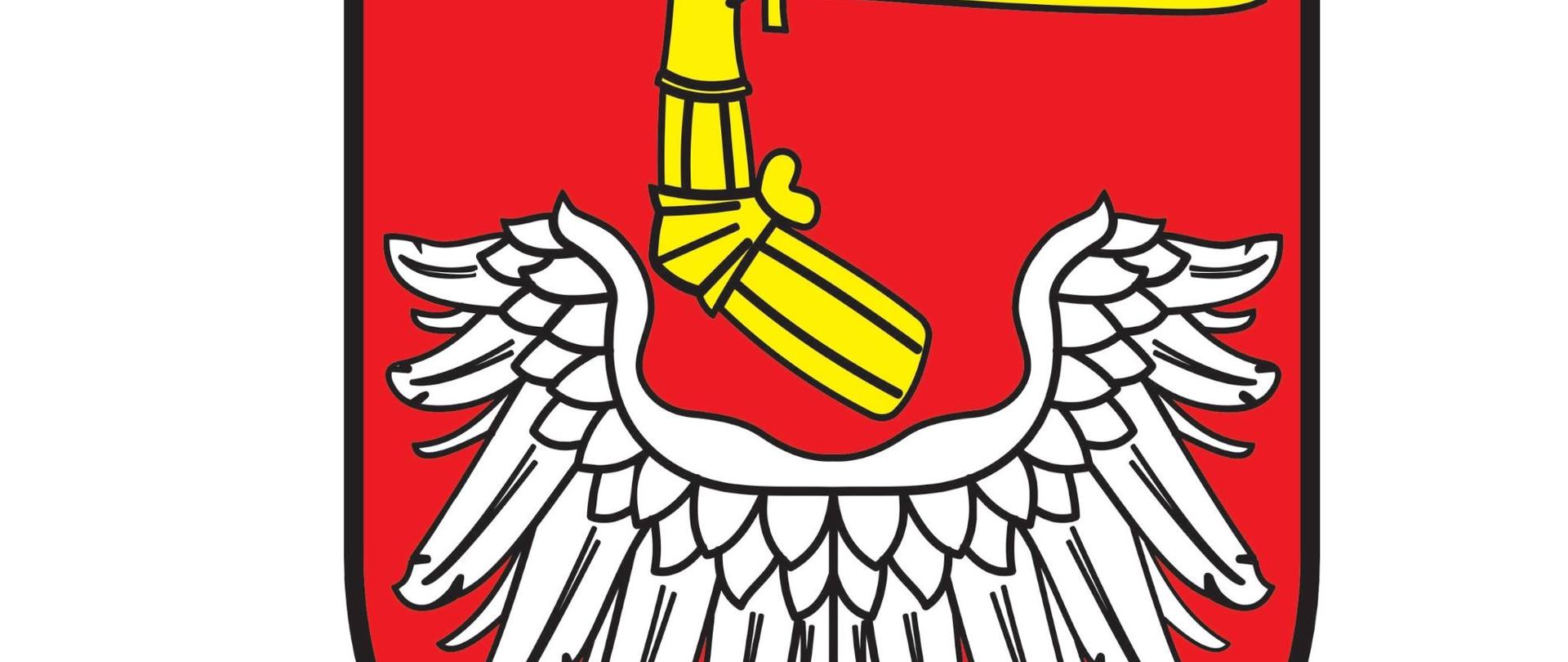 Zajęcia sportowe dla dzieci i młodzieży