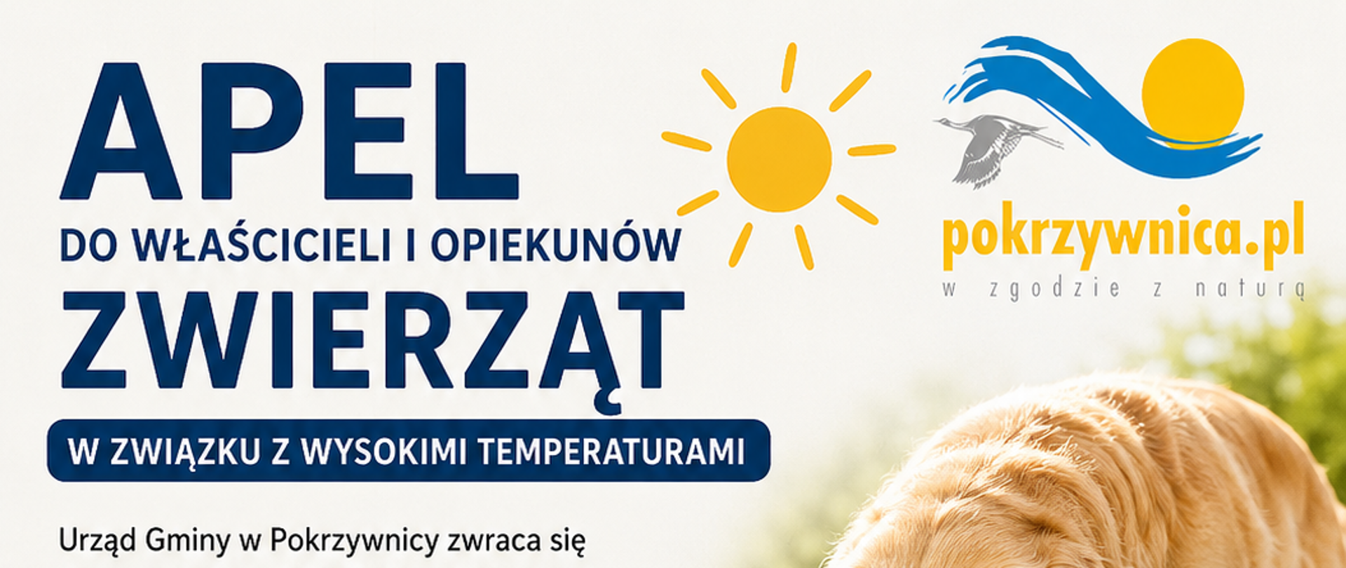 apel_do_właścicieli_zwierząt_-_upały