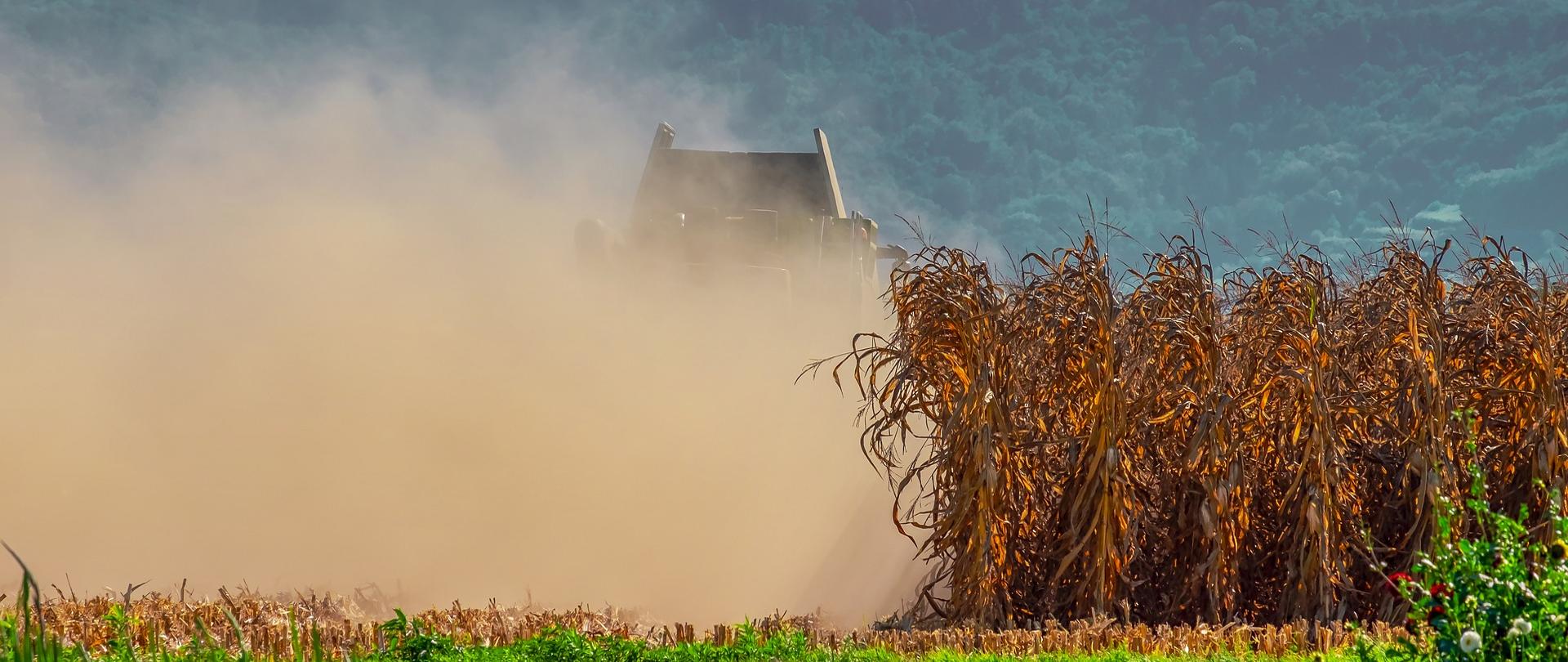 Zdjęcie kombajnu w chmurze pyłu zbierającego wyschnięte plony z pola