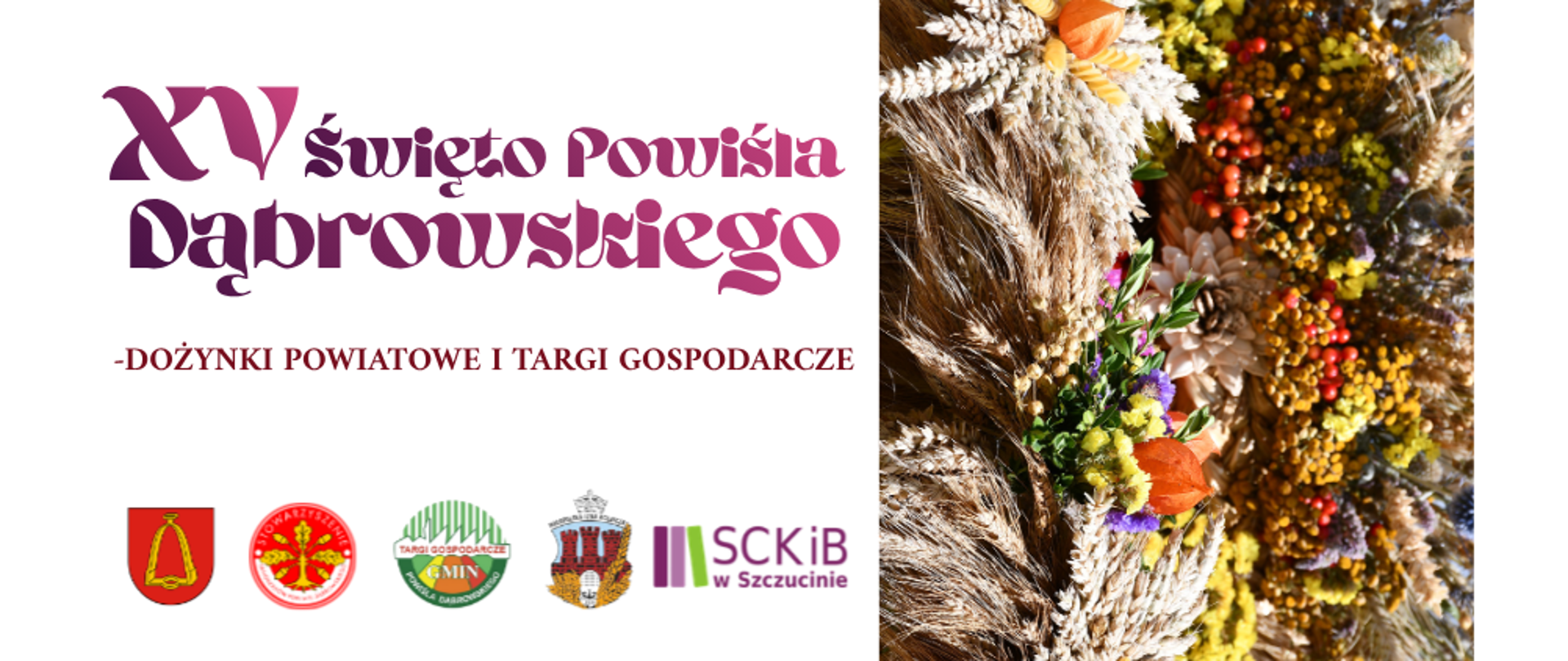 Grafika z napisem 15. Święto Powiśla Dąbrowskiego - Dożynki Powiatowe i Targi Gospodarcze