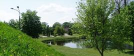 Park miejski – widok z Góry Zamkowej (fot. B. Komarzewski)
