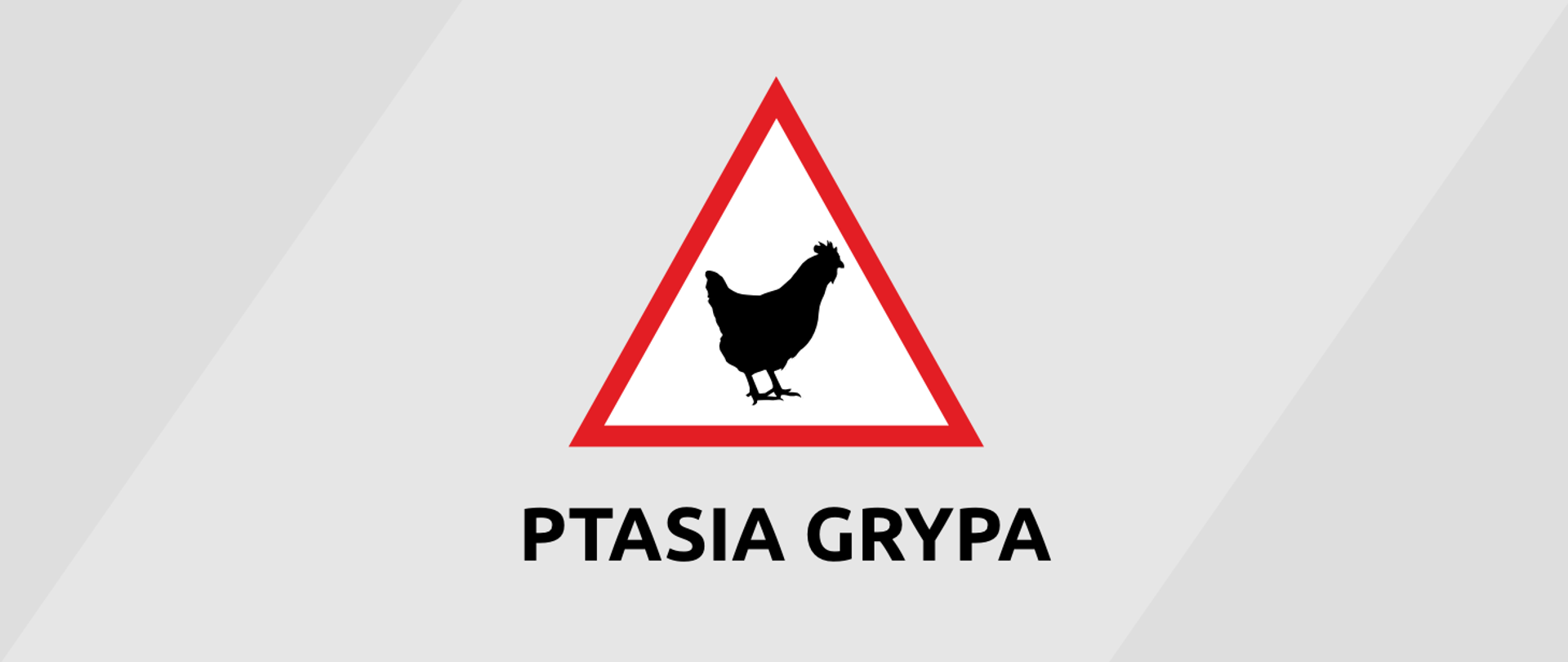 Ptasia grypa - obszar zagrożony