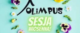 OGÓLNOPOLSKI KONKURS JĘZYKA ANGIELSKIEGO – OLIMPUS I OLIMPUSEK