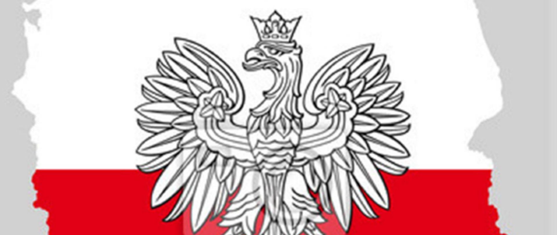 Orzeł w koronie na tle Polski w kolorze flagi