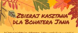 ZBIERAMY KASZTANY DLA JASIA