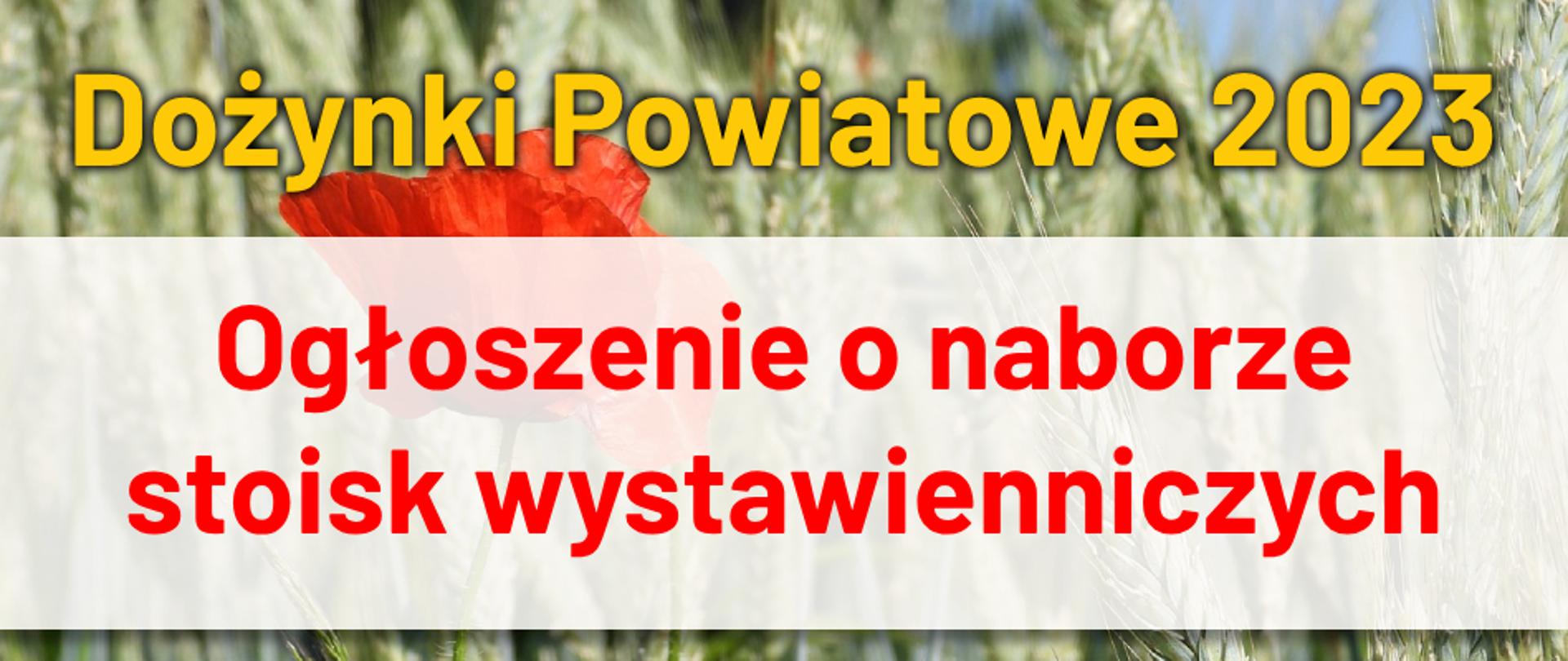 Na grafice widzimy pole ze zbożem podczas letniego pogodnego dnia, na pierwszym planie czerwony rozkwitnięty mak. Na grafice nagłówek Dożynki Powiatowe 2023. Pod spodem na jasnym półprzeźroczystym tle napis w kolorze czerwieni: Ogłoszenie o naborze stoisk wystawienniczych.