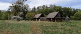 Widok wioski Mylnisk leżącej na wschodnim skraju Puszczy Białowieskiej (Białoruś). Zdjęcie pochodzi z portalu turystycznego https://www.airbnb.pl/ i przedstawia domek gościnny, którego gospodarzem − jak głosi podpis − jest... Aleksandr.