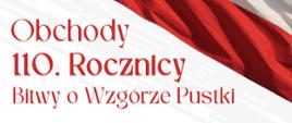 Plakat Obchody 110. Rocznicy Bitwy o Wzgórze Pustki