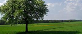 Krajobraz (fot. B. Komarzewski)
