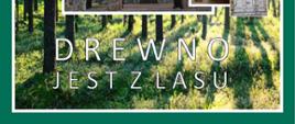na tle trawy i pni drzew napis "Drewno jest z lasu"
