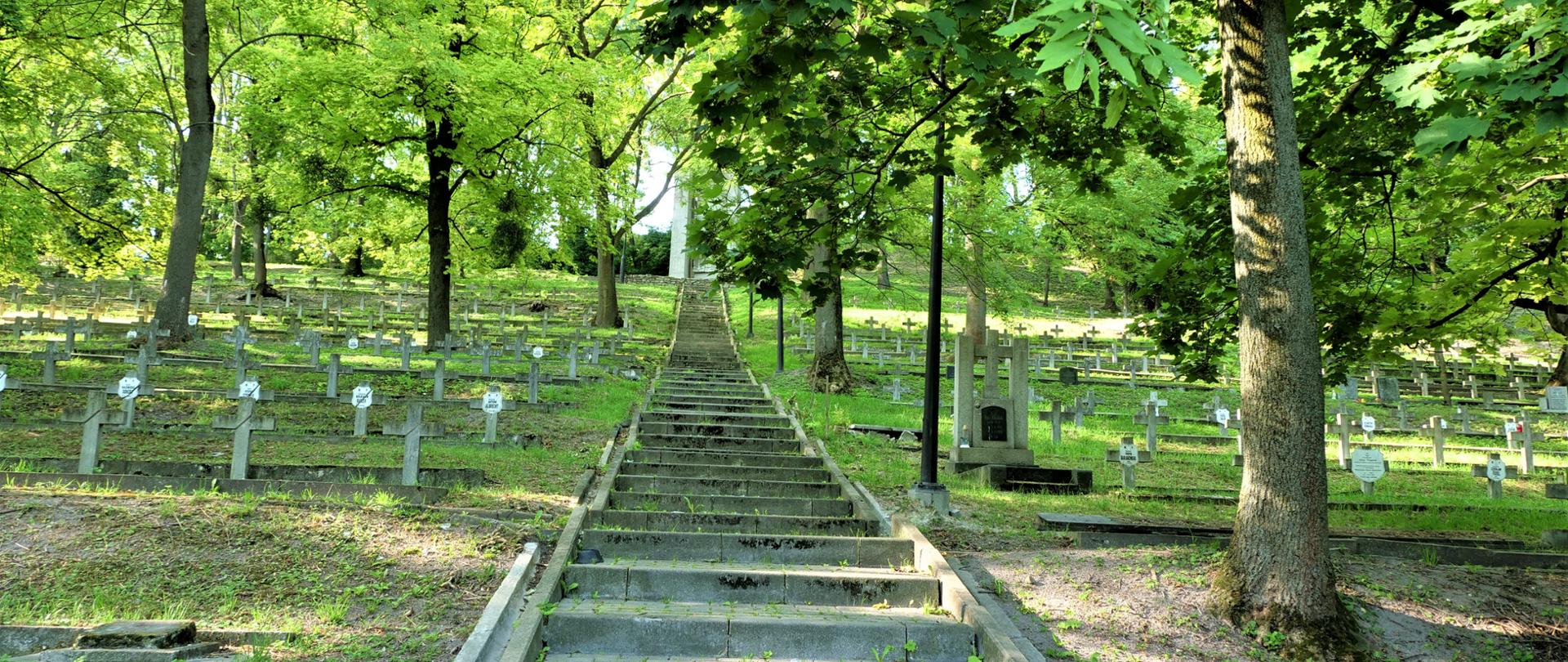 Zdjęcie przedstawia schody na cmentarzu prowadzące do umiejscowionego na górze pomnika. Dookoła rosną drzewa.