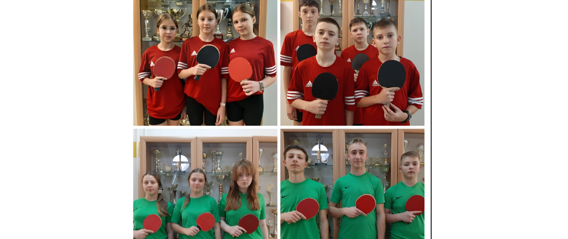 tenis stołowy