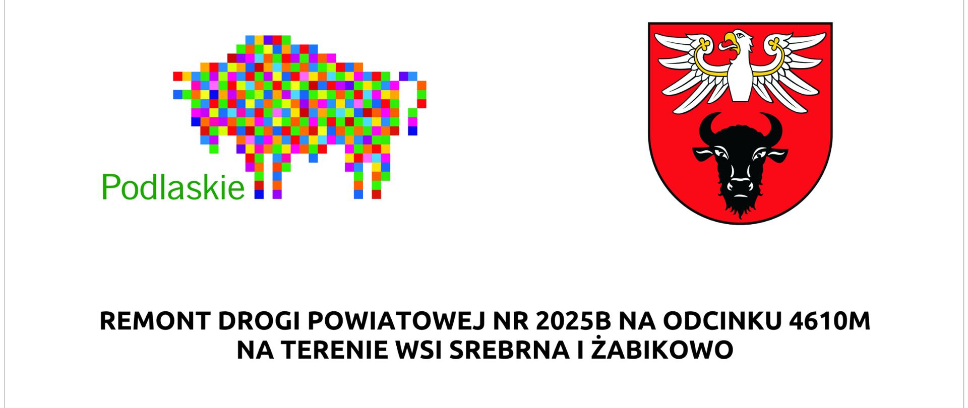 Remont Drogi Powiatowej Nr 2025B na odcinku 4610M na terenie wsi Srebrna i Żabikowo