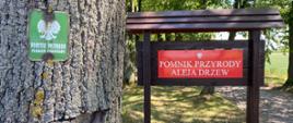 Dwa znaki informujące o pomniku przyrody w lesie – jeden zielony na drzewie z napisem „Pomnik przyrody prawem chroniony”, drugi czerwony na drewnianej konstrukcji z napisem „Pomnik przyrody Aleja Drzew”. W tle widoczne drzewa i promienie słońca.