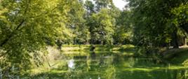 Park w Regułach