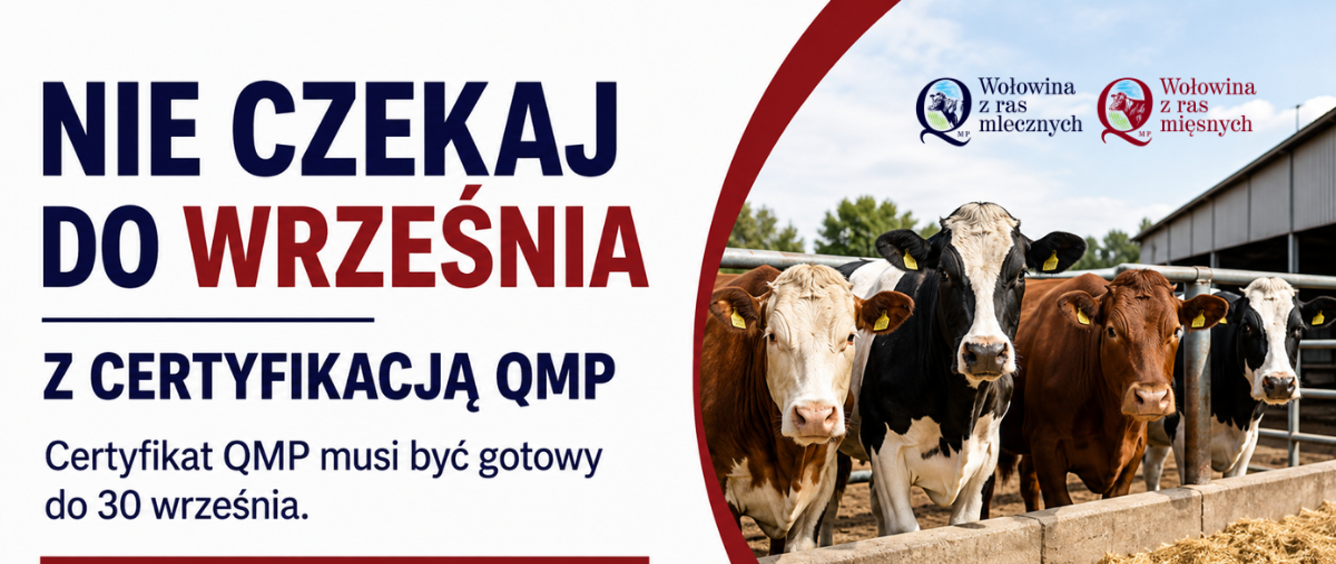 Baner_QMP_certyfikacja_(002)