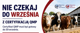 Baner_QMP_certyfikacja_(002)