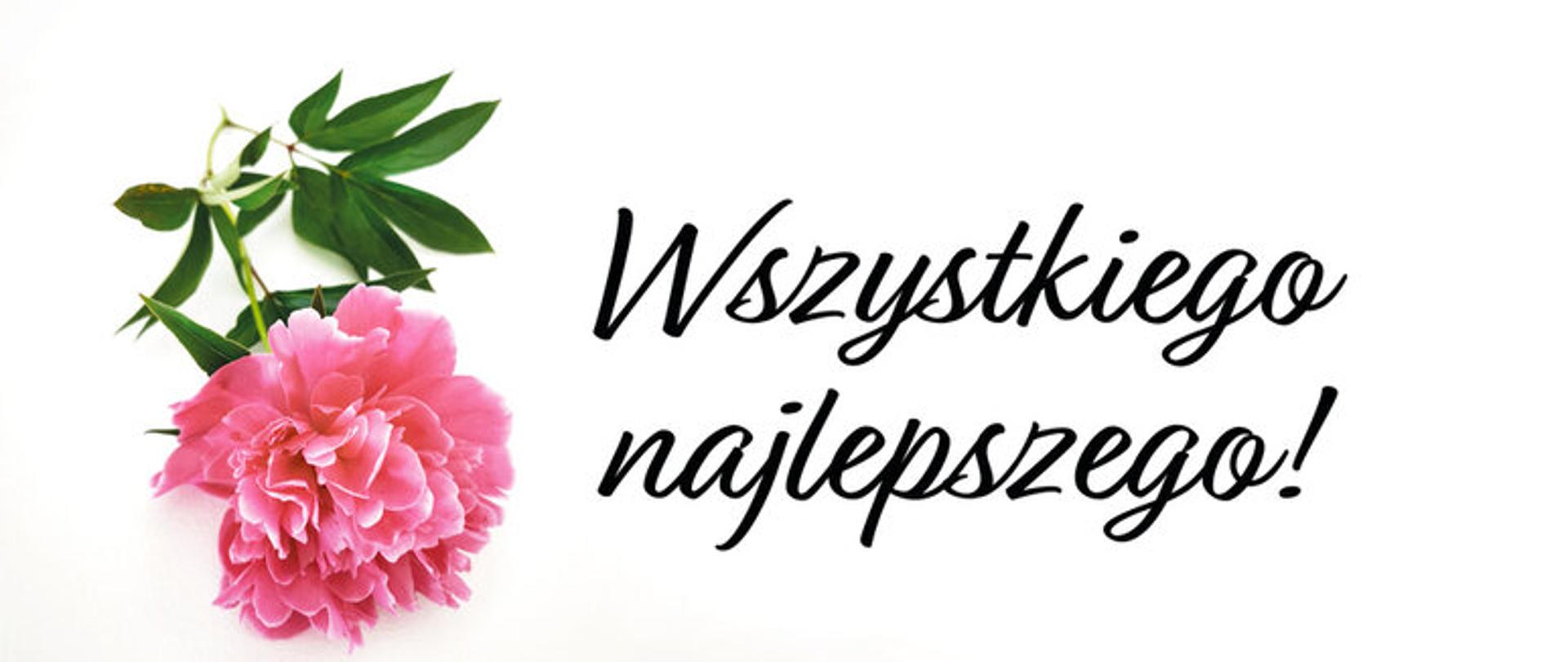 wszystkiego najlepszego