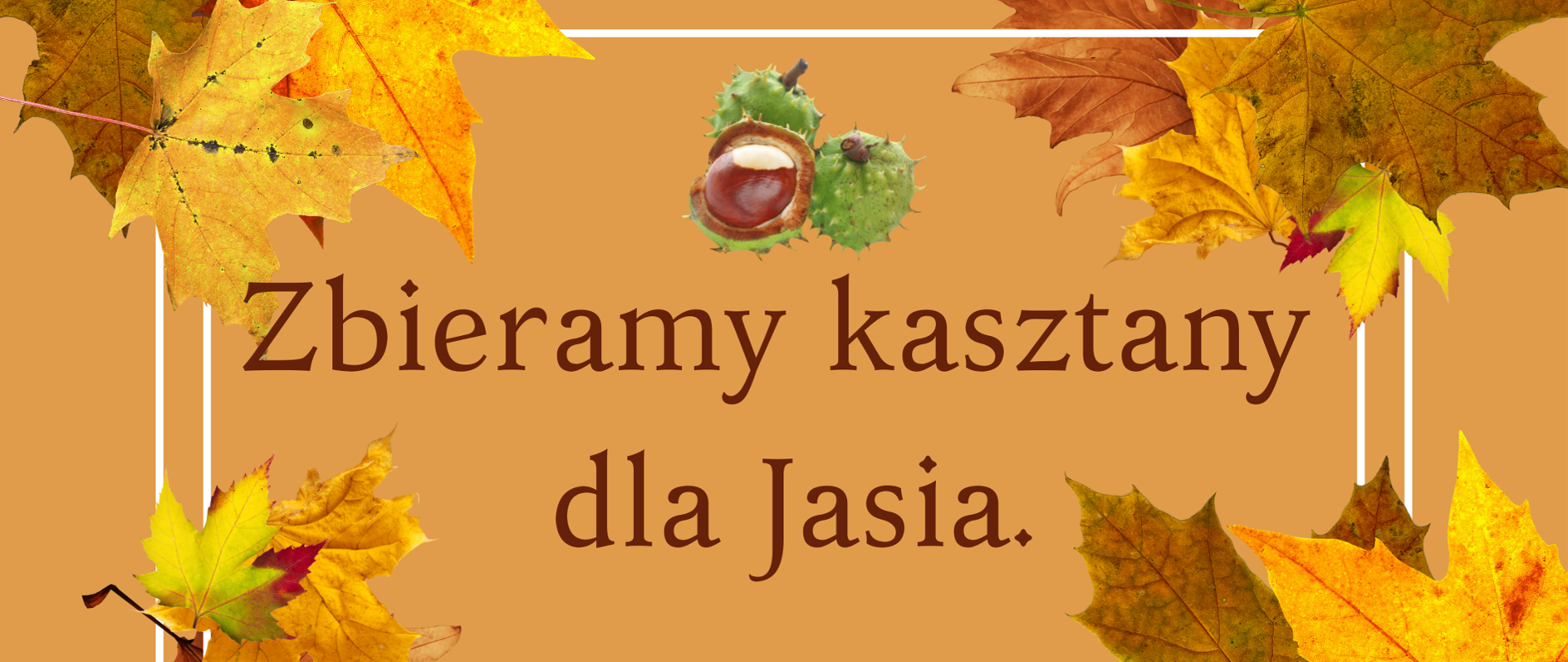 Kasztany dla Jasia