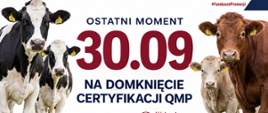 Baner_QMP_do_3009_(002)