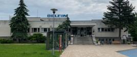 delfin
