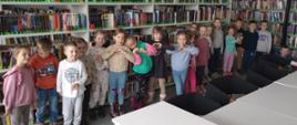 biblioteka