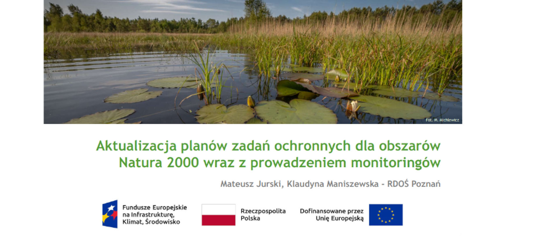 baner natura