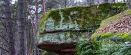 Bogactwo nie całkiem dostrzegane
