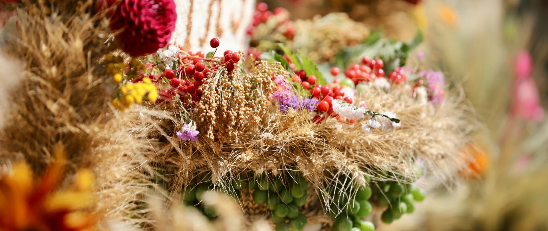 Na zdjęciu jeden z wieńców dożynkowych w zbliżeniu. Na pierwszym planie znajdują się kłosy, kwiaty i owoce tworzące wieniec.