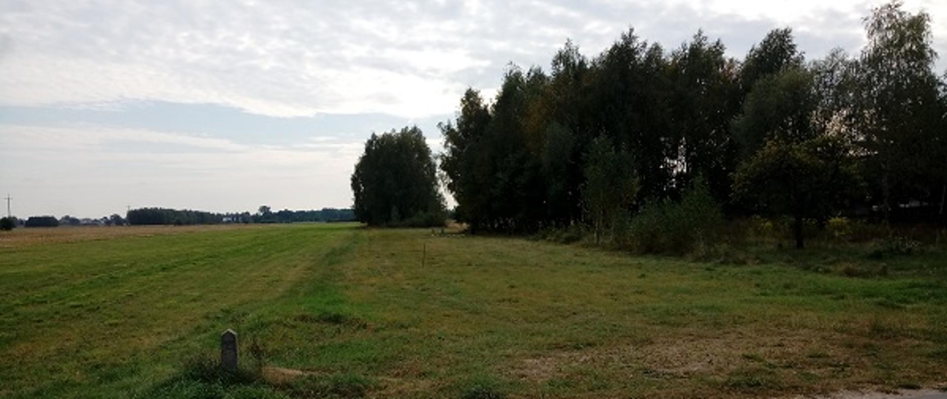 Na zdjęciu widać pustą działkę porośniętą trawą, po prawej stronie mały kilkuletni lasek.