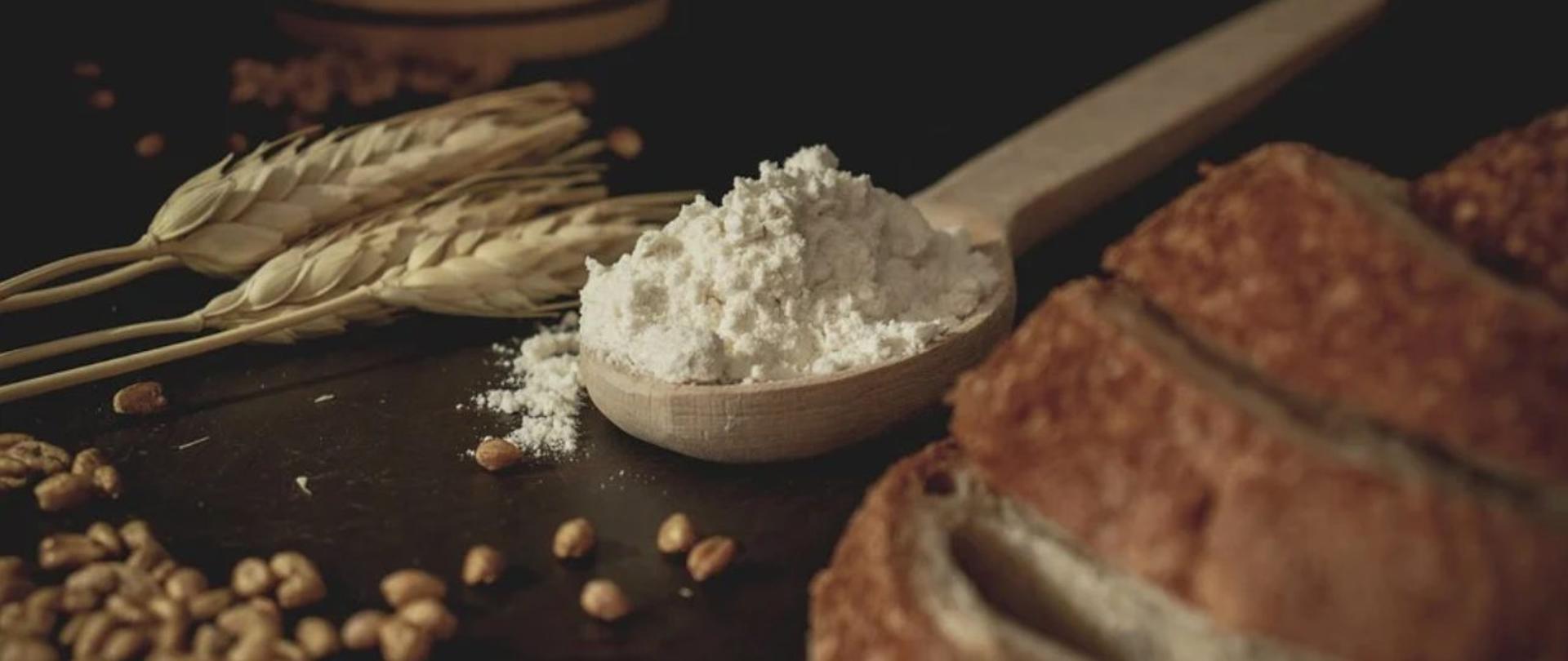 Zdjęcie przedstawia kłosy i ziarna zboża, łyżkę mąki, oraz kawałek chleba