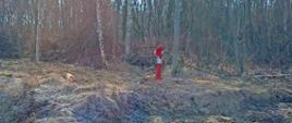 Budowa wodociągu Lubenia-Jasienniki-Obręczna