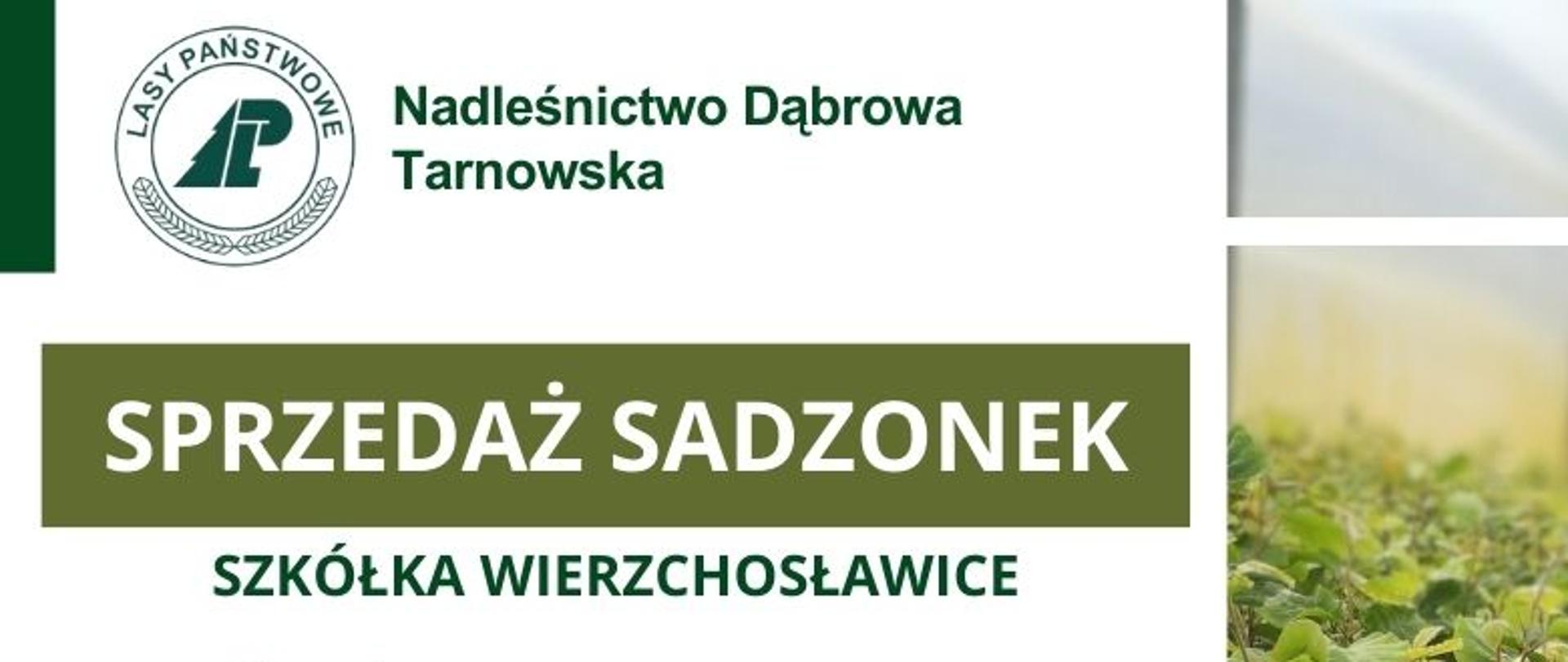 Plakat informujący o sprzedaży sadzonek