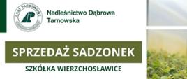 Plakat informujący o sprzedaży sadzonek