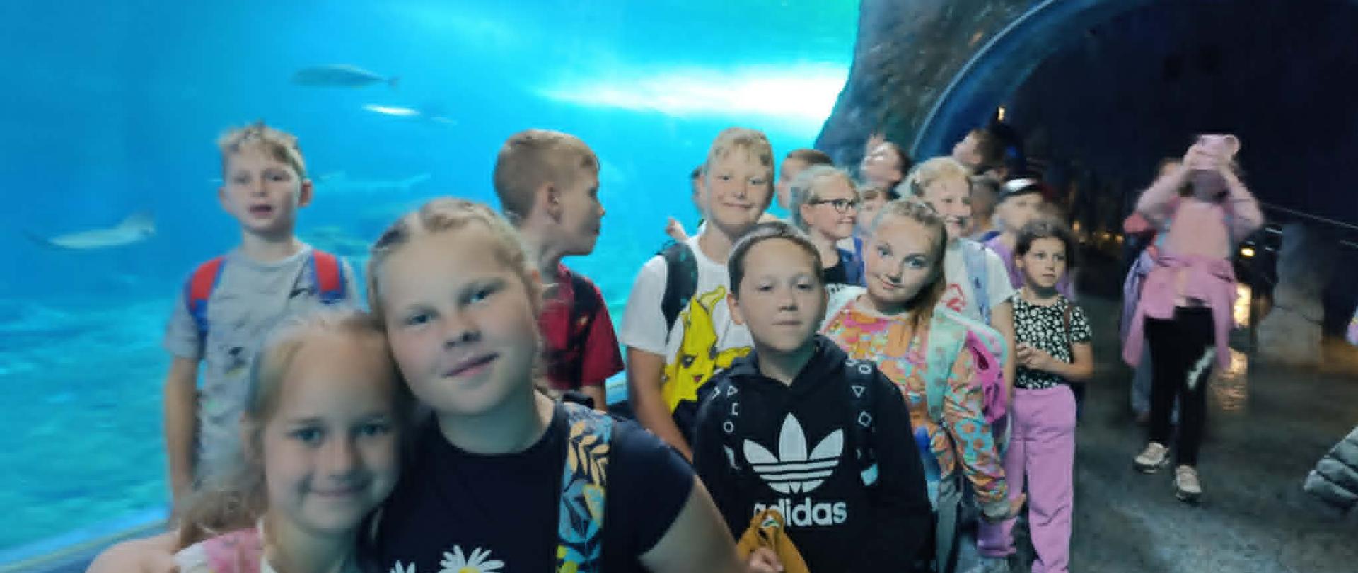wizyta w zoo