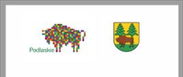 Na białym tle logotypy Województwa Podlaskiego (żubr składający się z pikseli) oraz herb Powiatu Hajnowskiego (na zielono - żółtym tle żubr z dwoma świerkami). U dołu napisy: Remont dróg powiatowych - nr 1620B na odcinku Tyniewicze - Kamień oraz Nr 1748B na odcinku Suchowolce - Saki - Toporki, gmina Kleszczele. Zadanie zrealizowane w 2023 r. przy udziale środków pochodzących z budżetu Województwa Podlaskiego