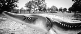Eko Park u Jesiotra - inicjatywa Fundacji Ratuj Ryby w Jedynce