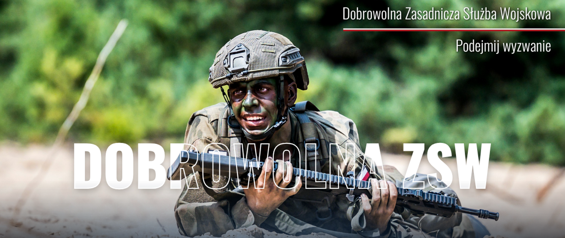 Dobrowolna ZSW(1)