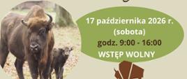 Na plakacie umieszczono zdjęcie żubra oraz informacje o wydarzeniu, zawarte w artykule
