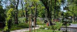 Ogród Botaniczny w Brwinowie