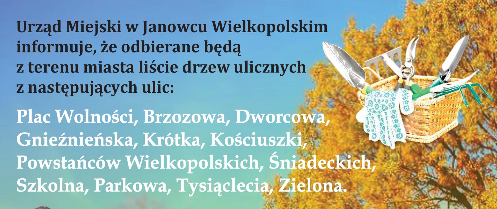 Urząd Miejski w Janowcu Wielkopolskim informuje, że odbierane będą z terenu miasta liście drzew ulicznych z następujących ulic:
Plac Wolności, Brzozowa, Dworcowa, Gnieźnieńska, Krótka, Kościuszki, Powstańców Wielkopolskich, Śniadeckich, Szkolna, Parkowa, Tysiąclecia, Zielona.
