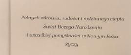 Pełnych zdrowia, radości i rodzinnego ciepła Świąt Bożego Narodzenia i wszelkiej pomyślności w Nowym Roku życzy