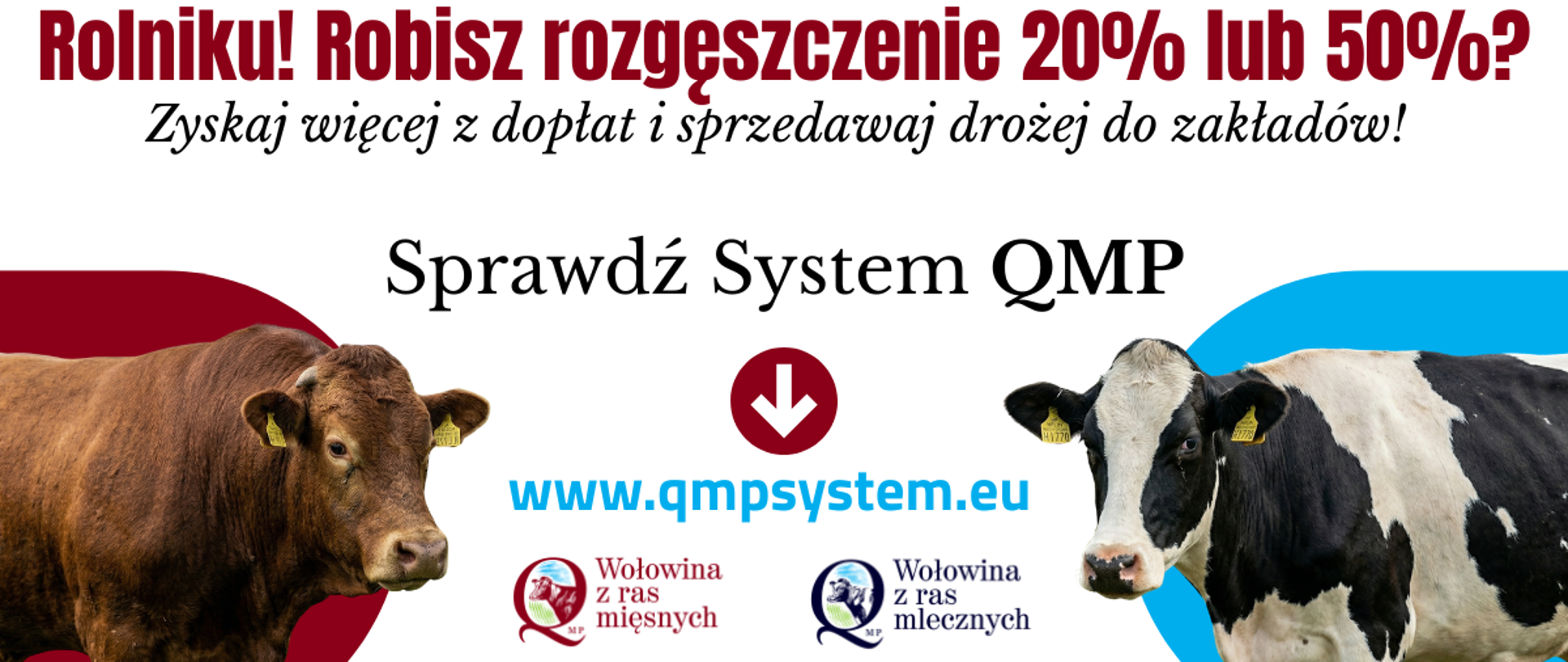 Ekoschemat „Dobrostan zwierząt”
Dodatkowe pieniądze dla hodowców z QMP – tylko do 15 maja!

